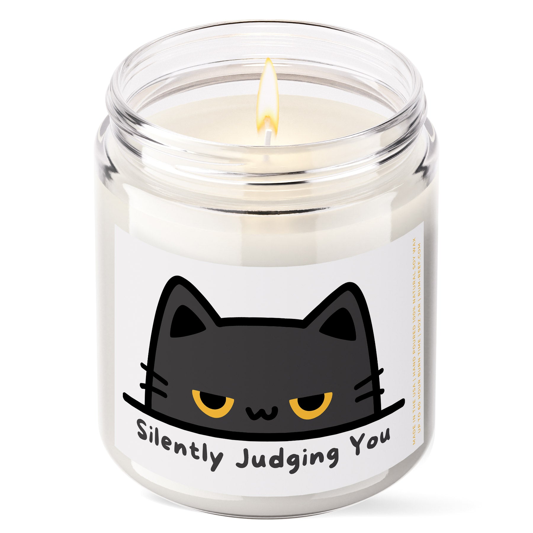 Silently Judging You Cat 9oz Candle